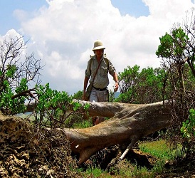 activities in Andaman